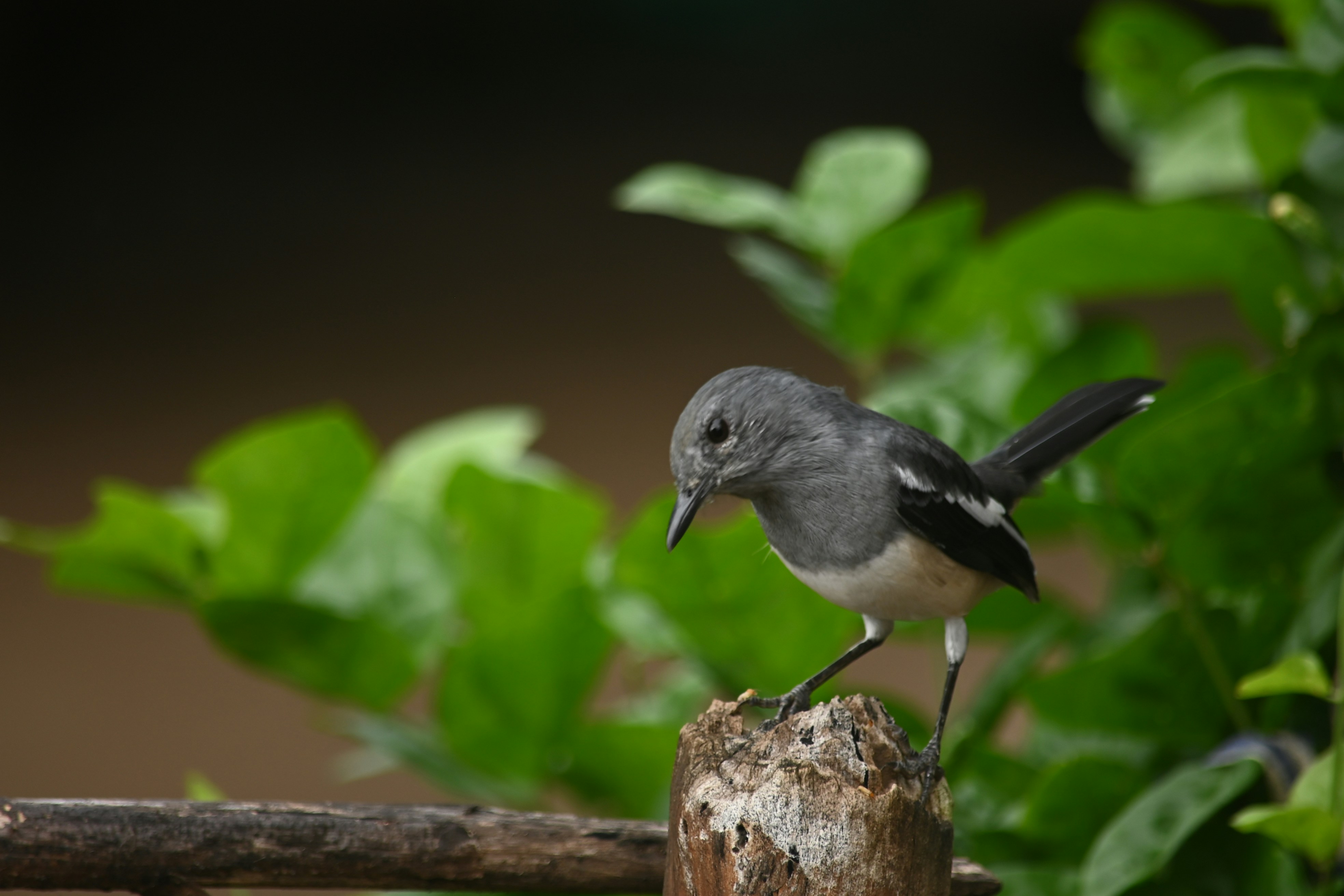 Photo by rrajputphotography