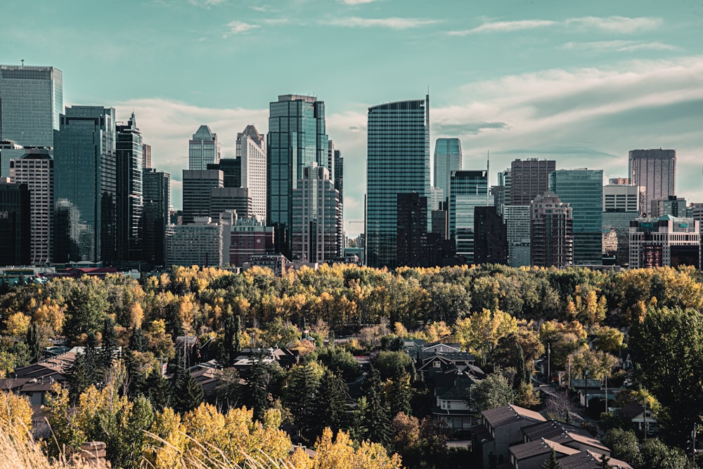 city skyline under blue sky during daytime