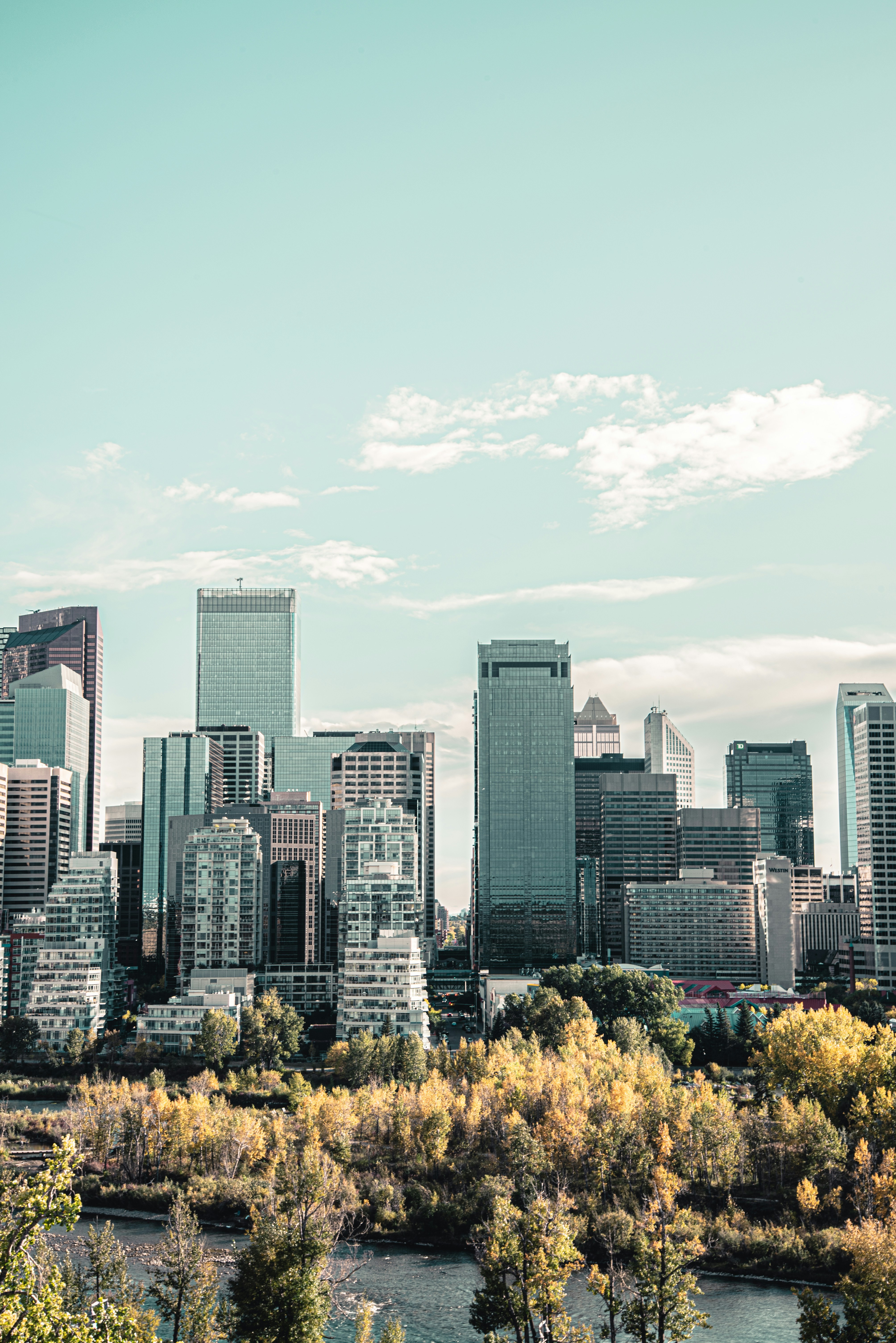 Photo by ryunosuke_kikuno