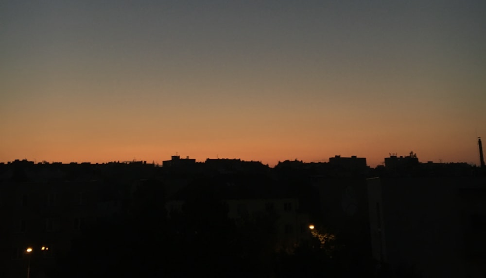 silhouette of trees during sunset