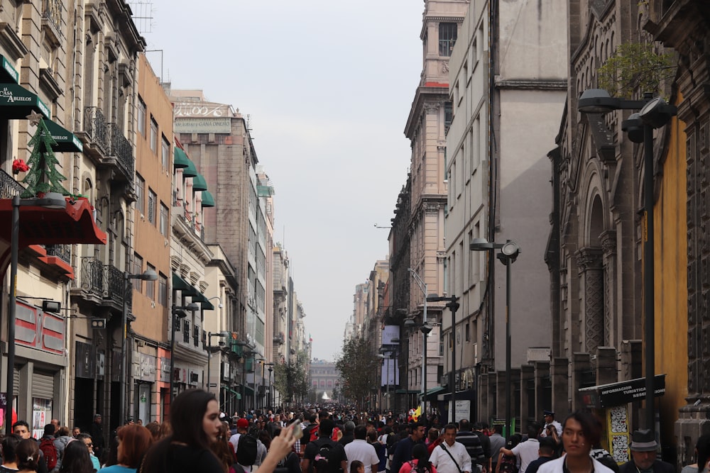 people walking on street during daytime