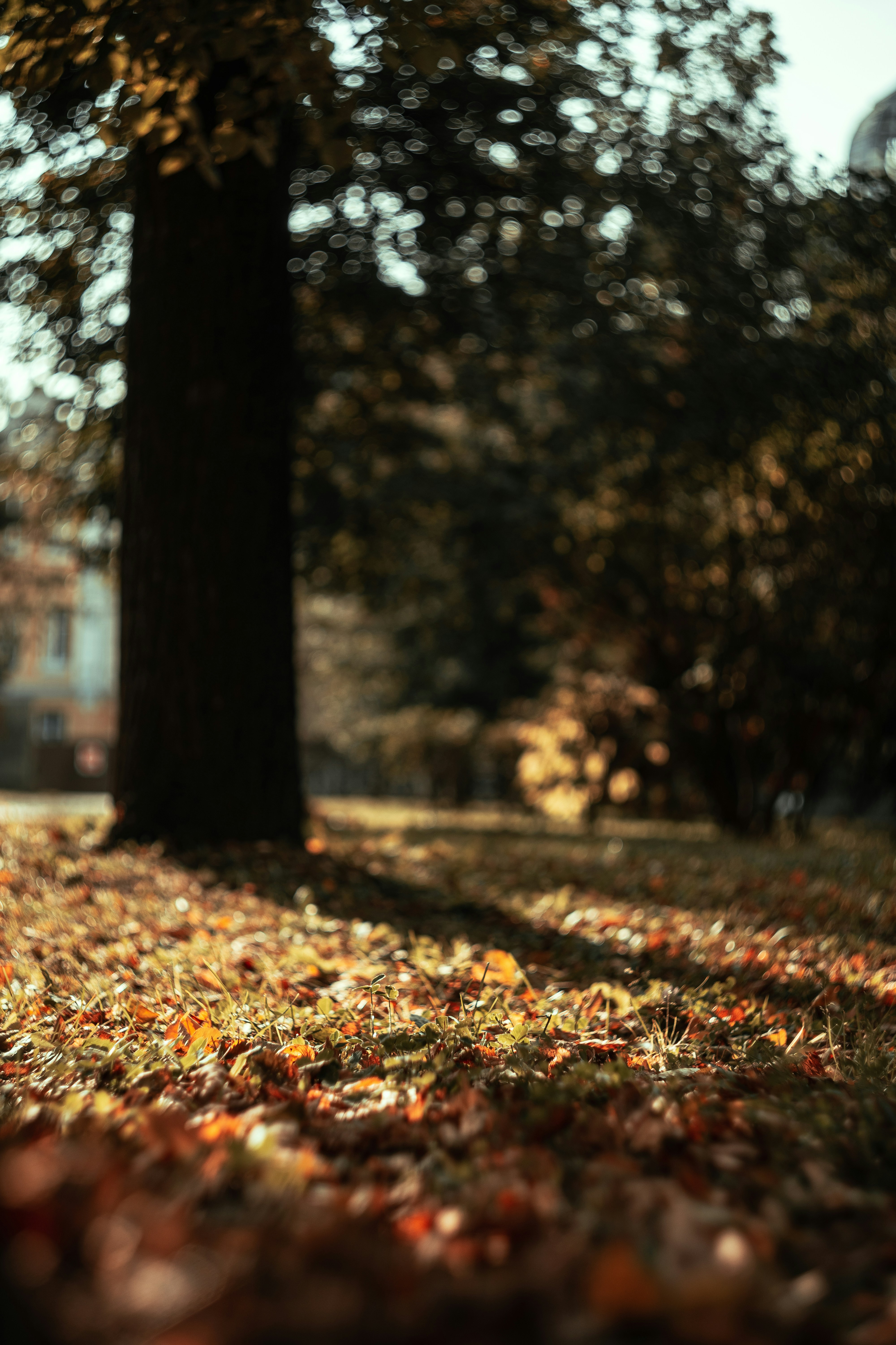 Photo by robert_lens