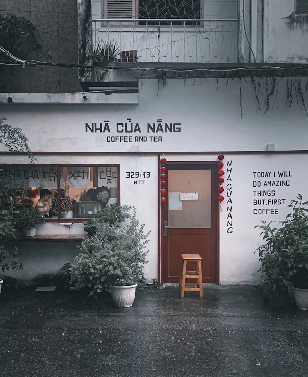 red wooden chair near green plants