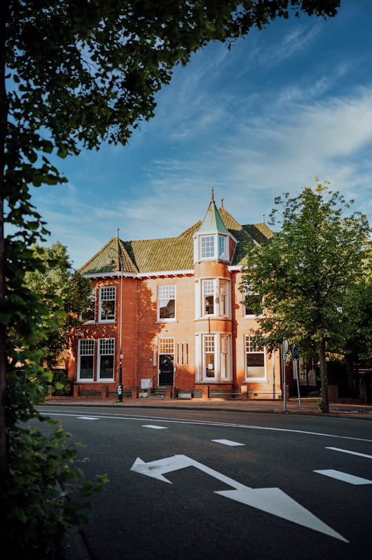 brown and white concrete building near green trees under blue sky during daytime in Haarlem Netherlands