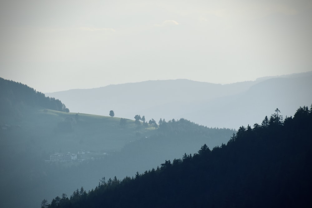 green trees on mountain during daytime