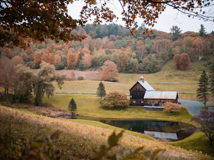 Country house beside a tree-lined river