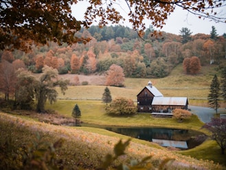 brown and white house near brown trees and river during daytime