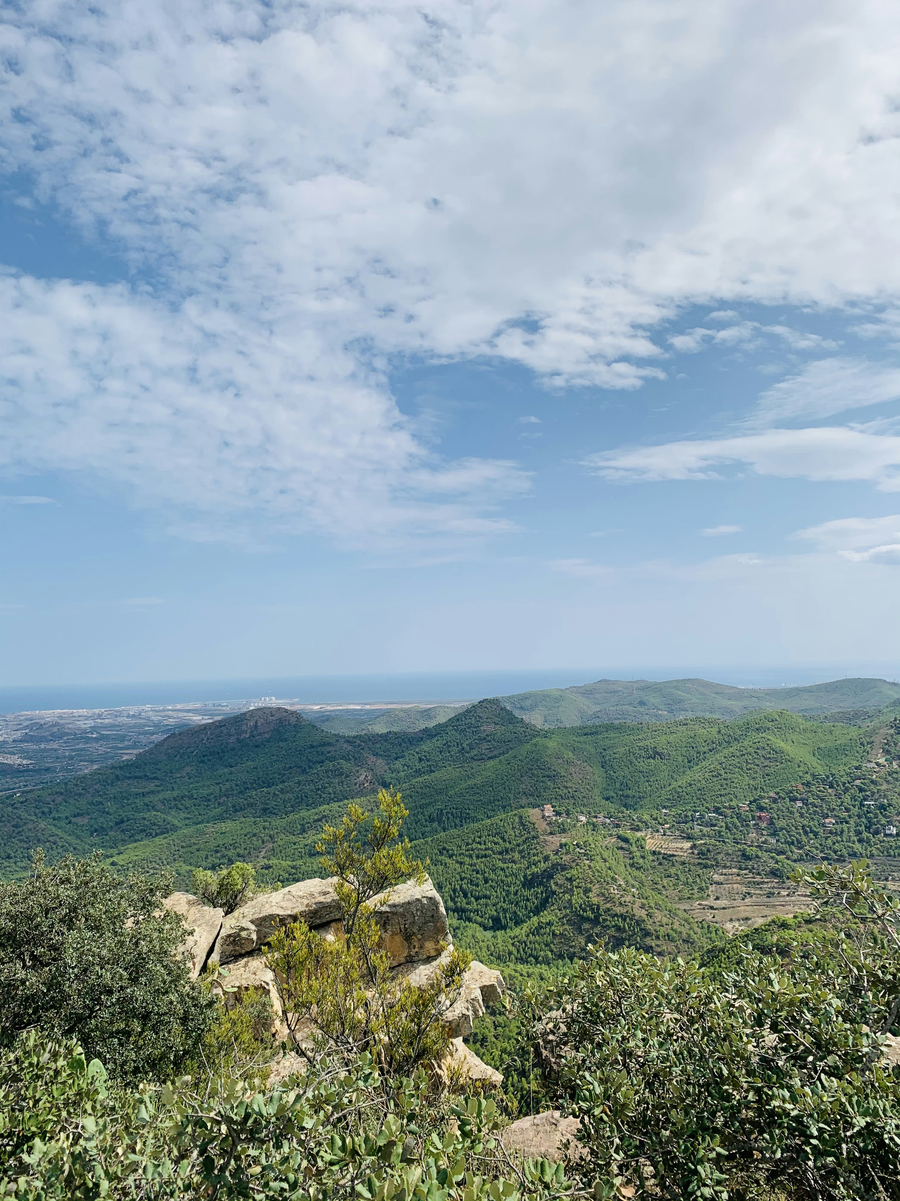 Photo by galifianakis