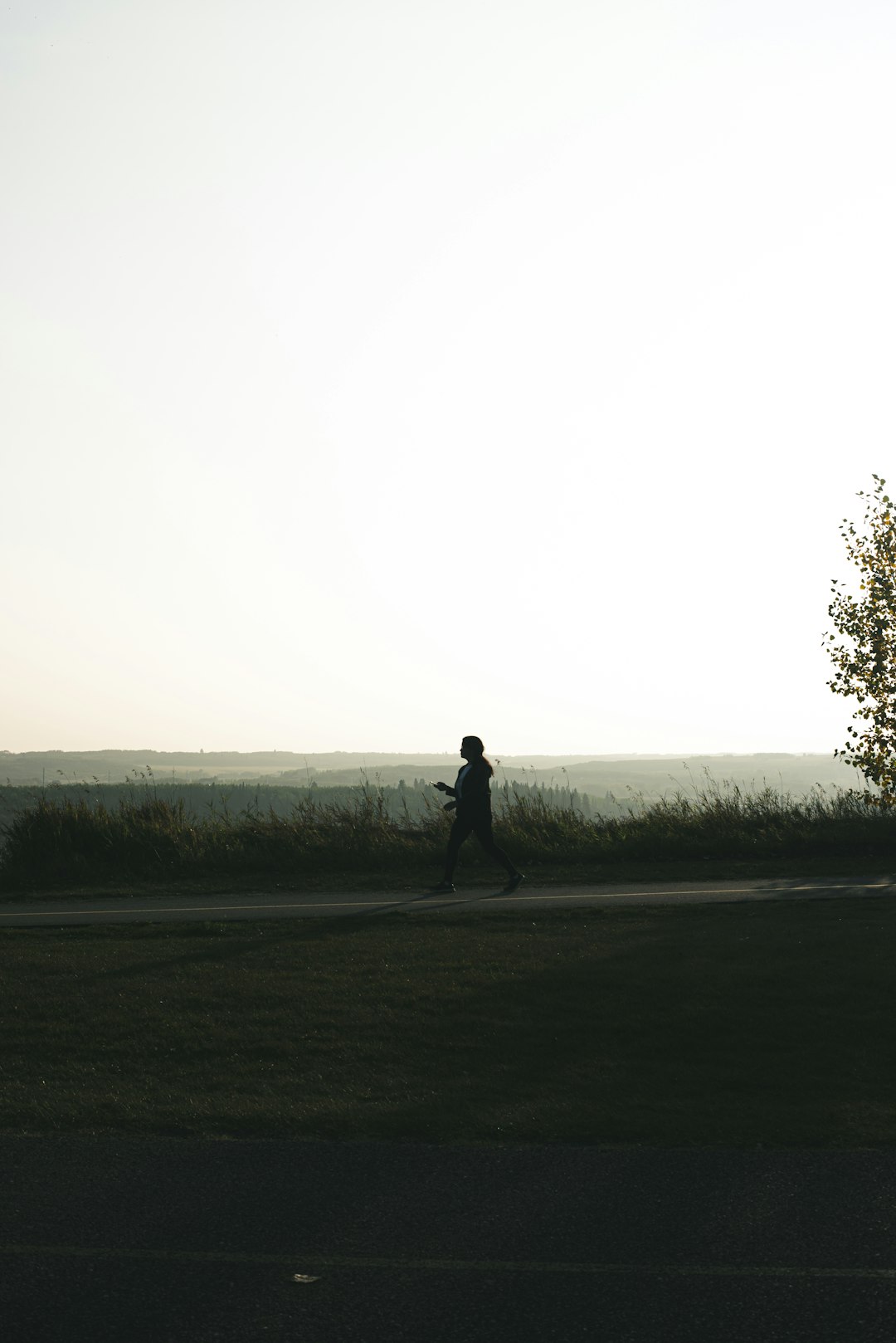 silhouette of person walking on road during daytime