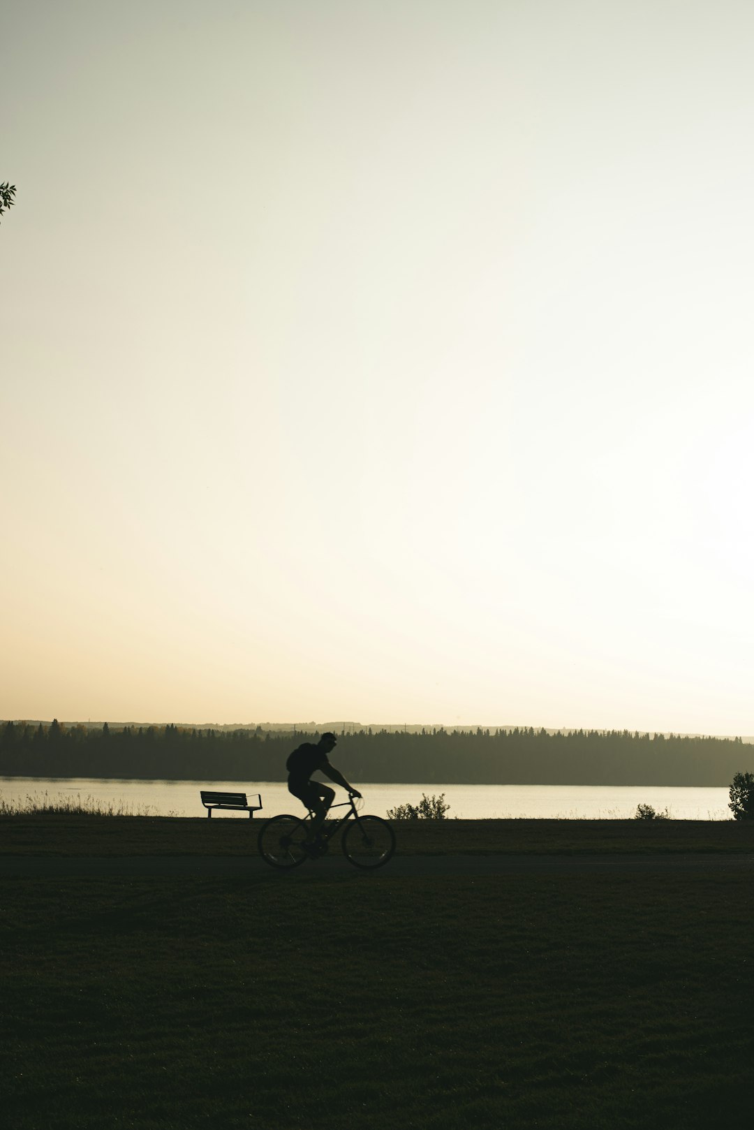 man riding bicycle on gray asphalt road during daytime