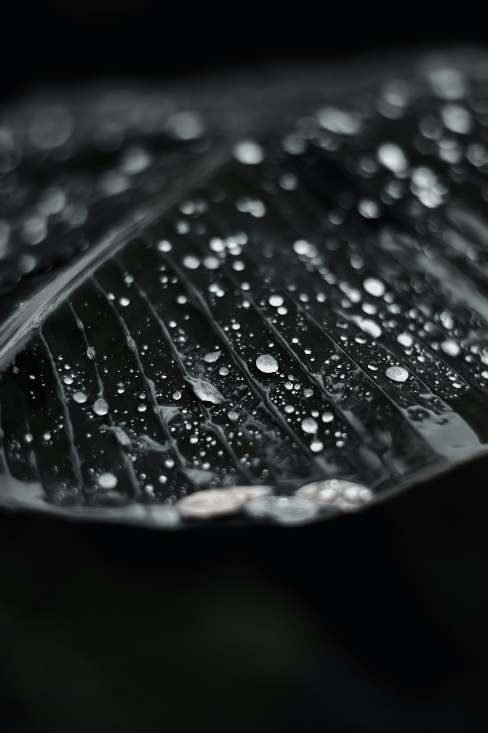 water droplets on clear glass