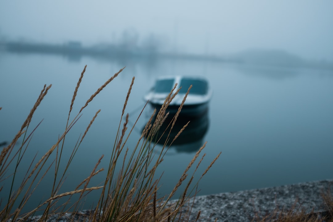 River photo spot Aveiro Porto