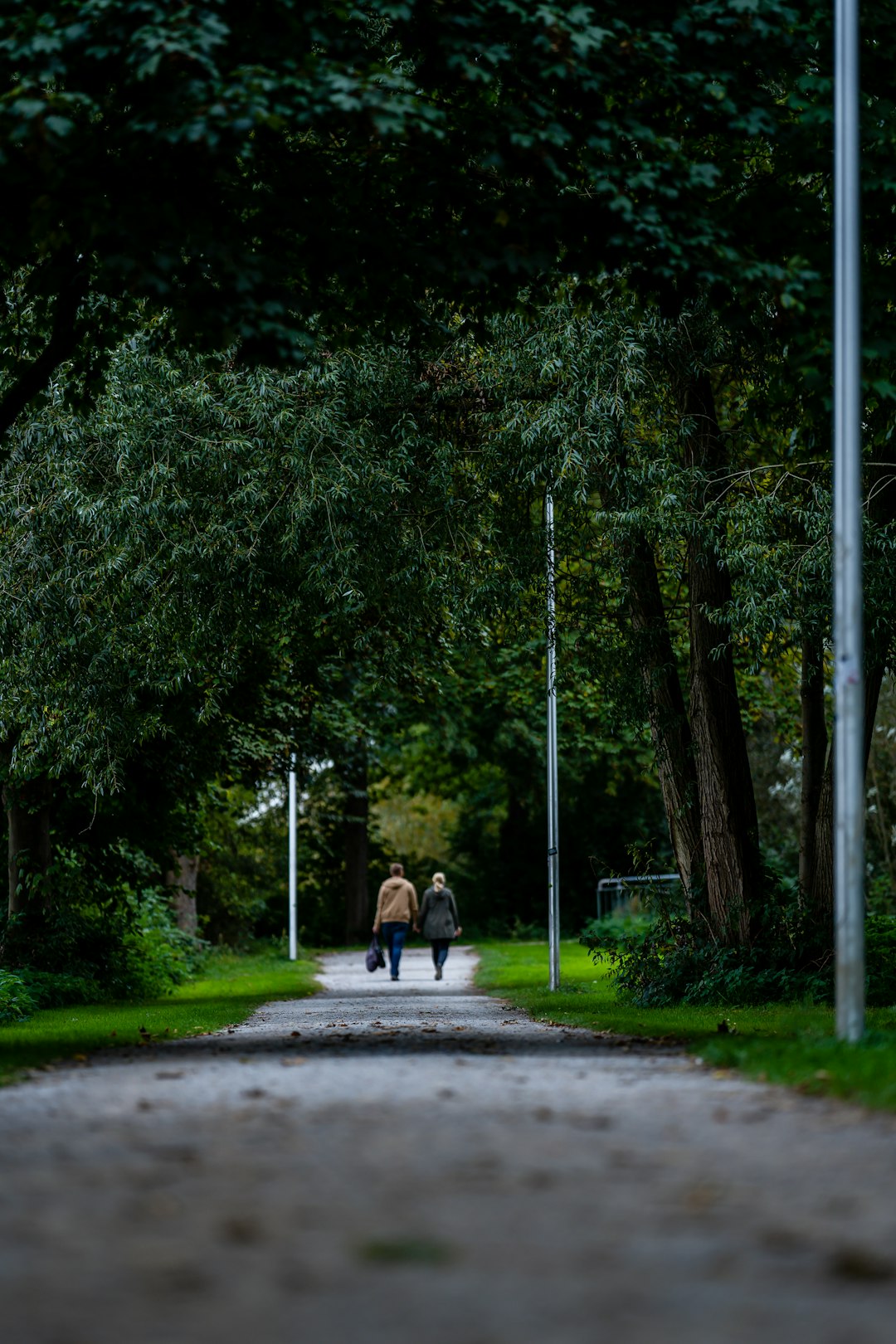 2 person walking on road between trees during daytime