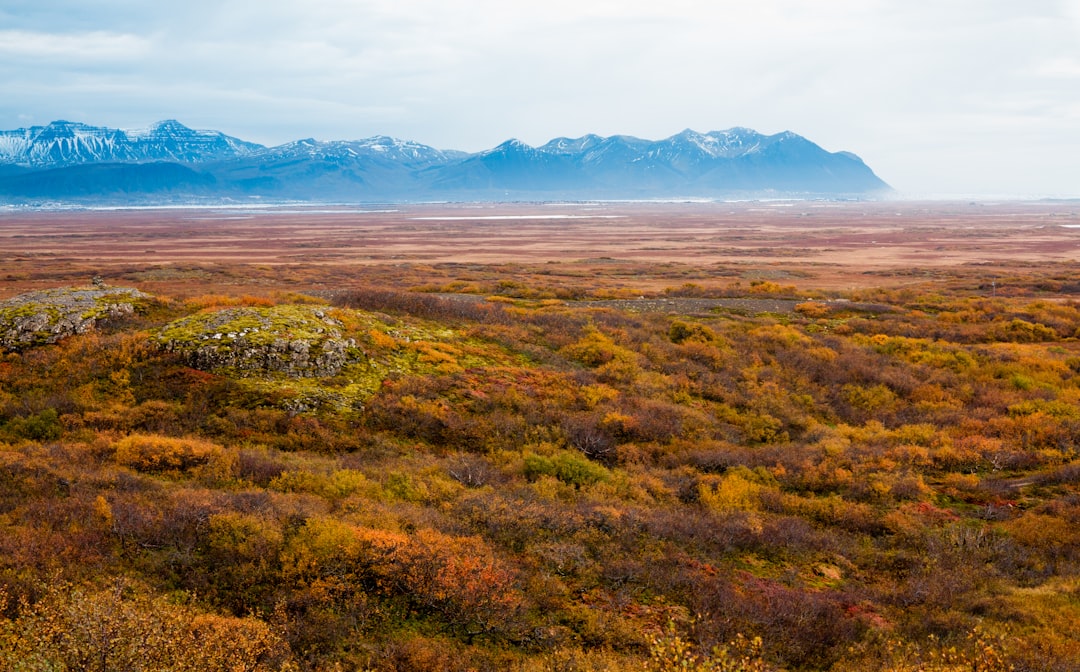 travelers stories about Tundra in Borgarfjörður, Iceland