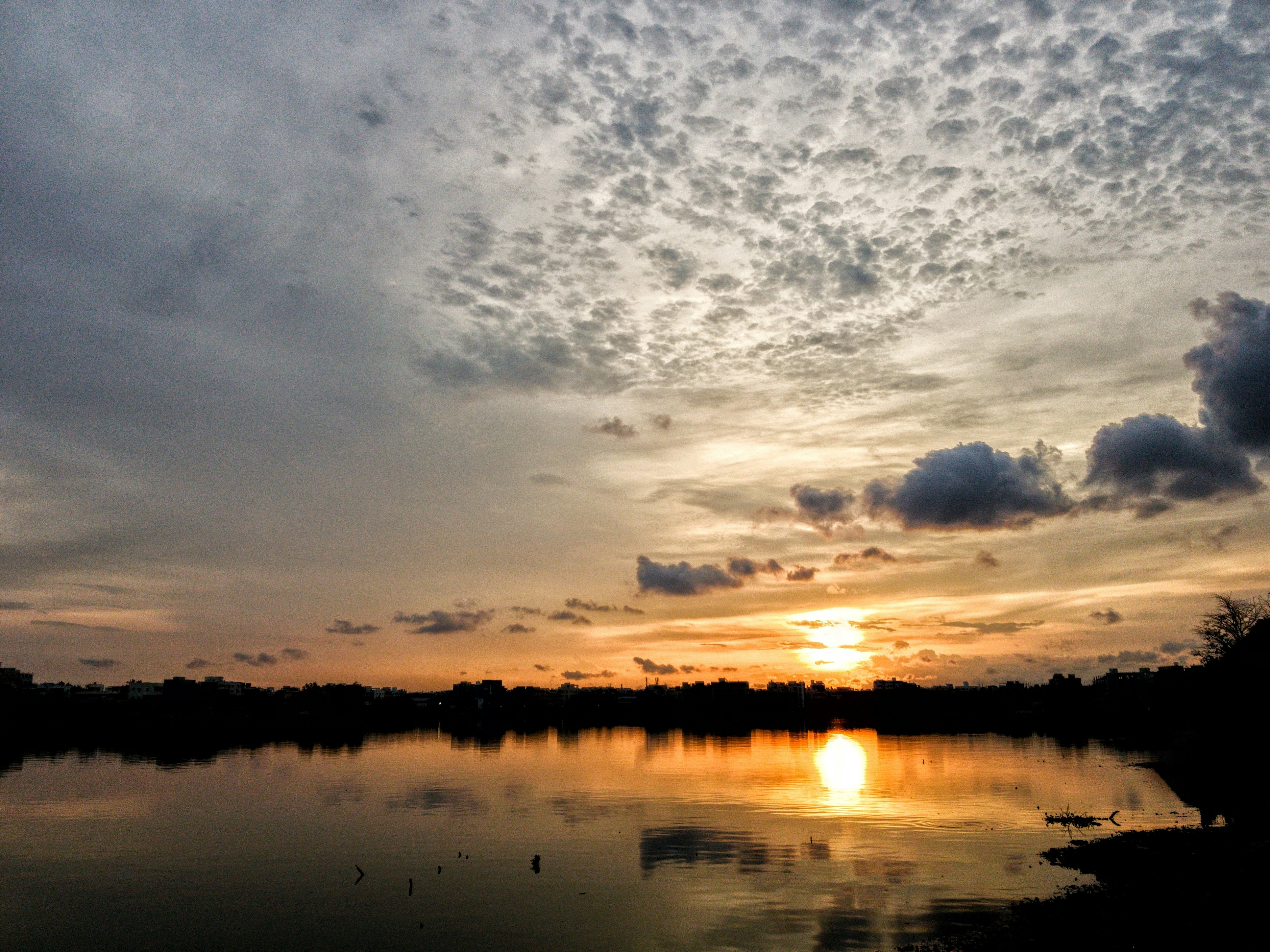 Photo by naturesabre