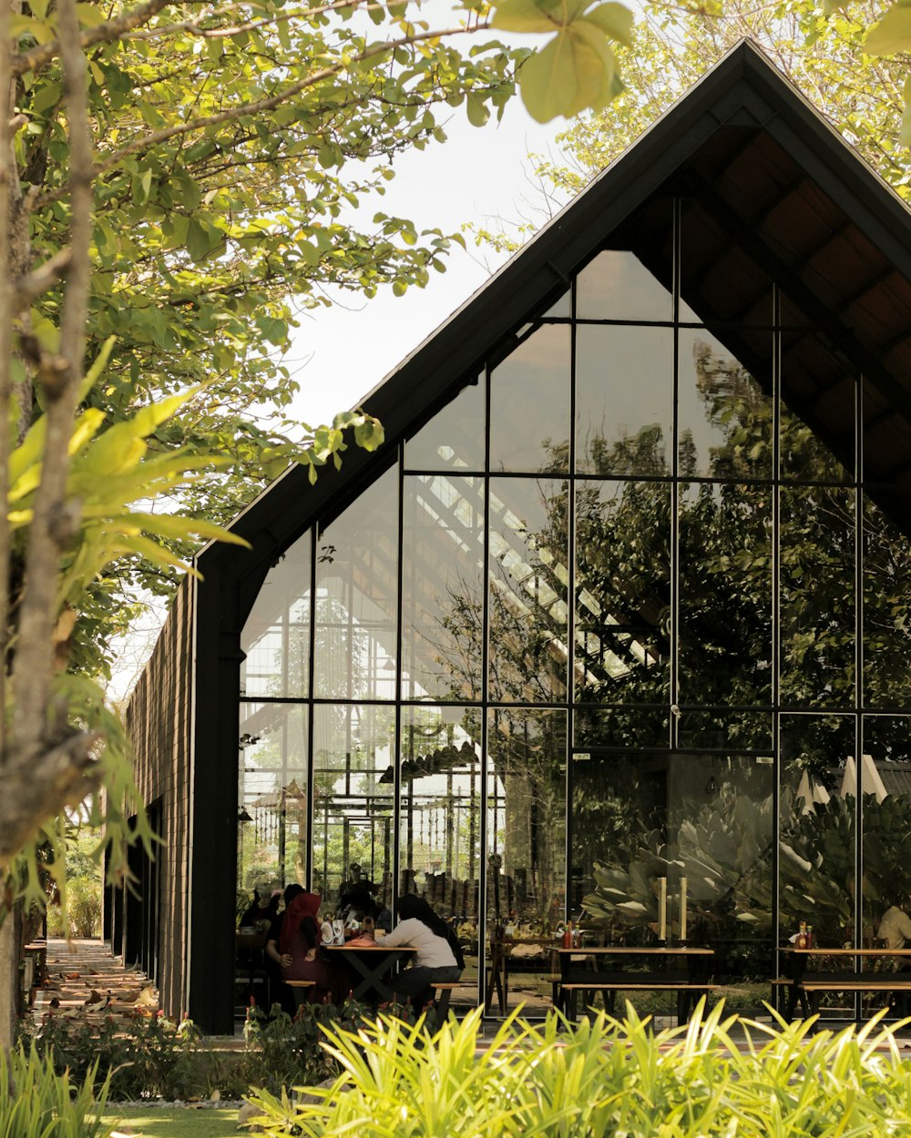 people sitting on chairs near green trees during daytime