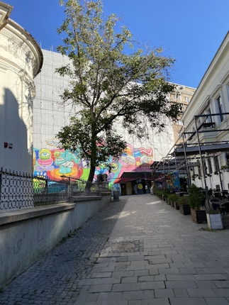 A vibrant street scene features a colorful mural on a building fa&ccedil;ade, depicting abstract and playful figures. A tree stands prominently in the center, casting shadows on the cobblestone path that leads through the area. The buildings are historic, with ornate architectural details and a wrought iron fence runs along the left side. Potted plants line the right side, and the sky is clear and blue.