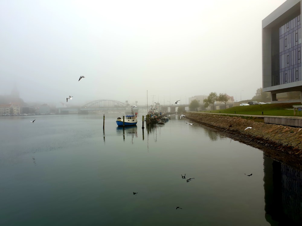 body of water near green grass field during foggy weather