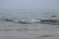 A calm ocean wave symbolizing emotional release and healing.