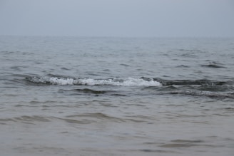 A calm ocean wave symbolizing emotional release and healing.
