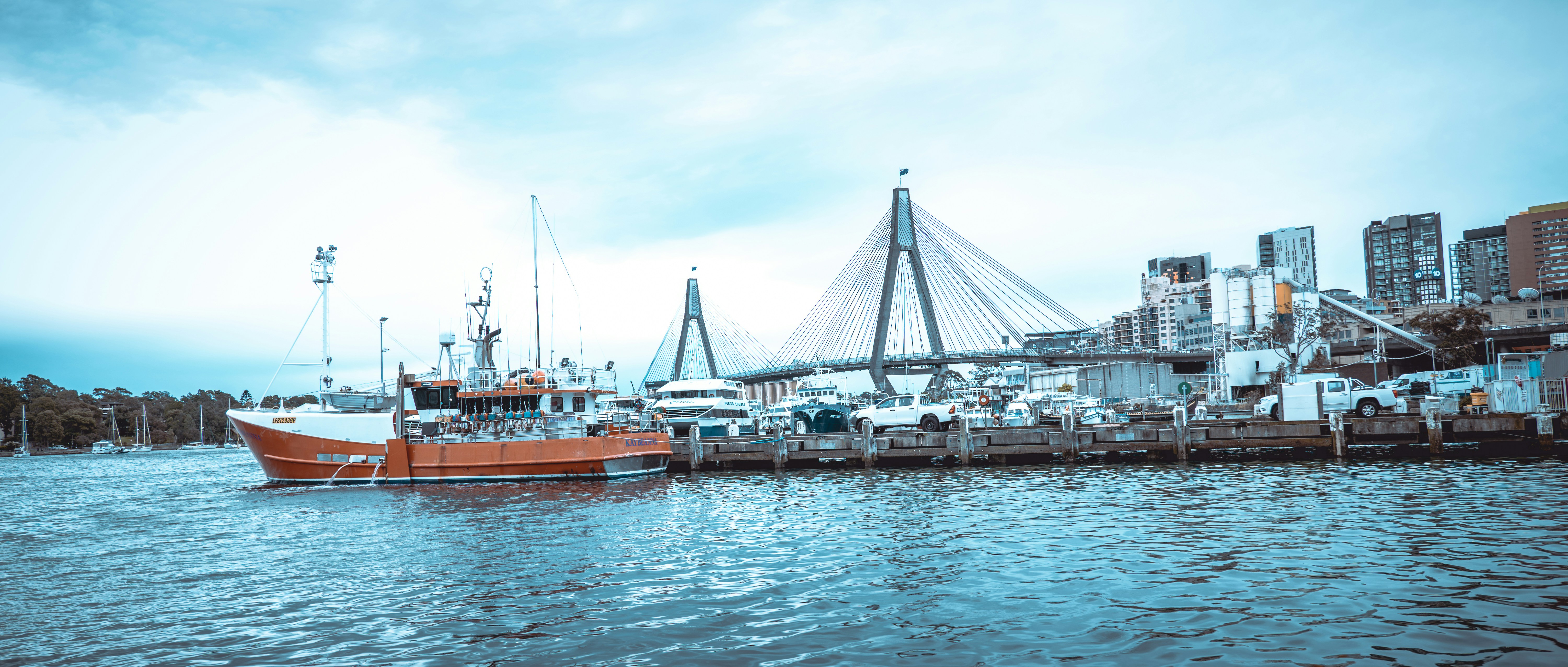 Photo by tornovember