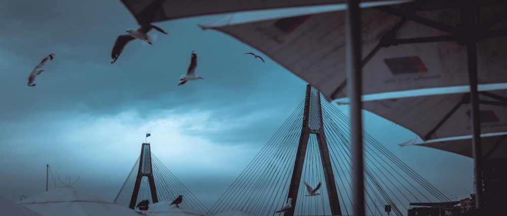 low angle photography of bridge under blue sky during daytime