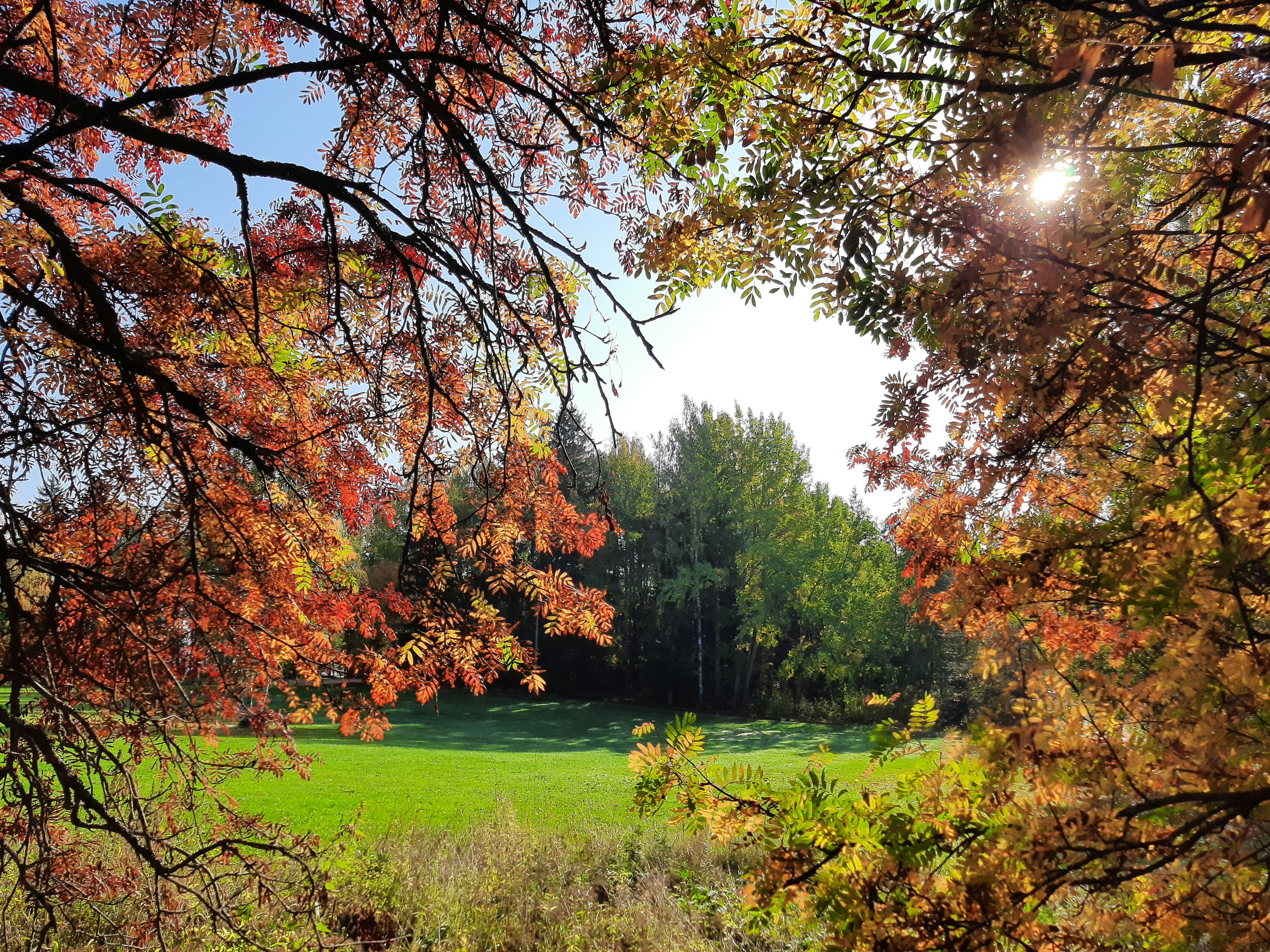 Photo by northernpagan