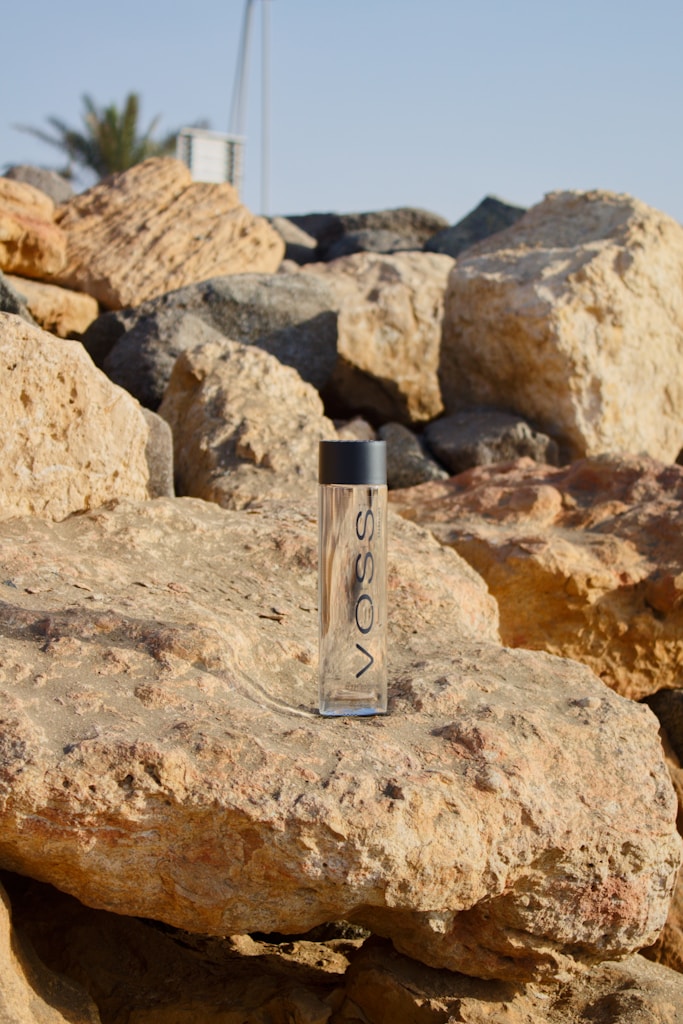 Daily Insulated Bottle