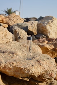 Daily Insulated Bottle