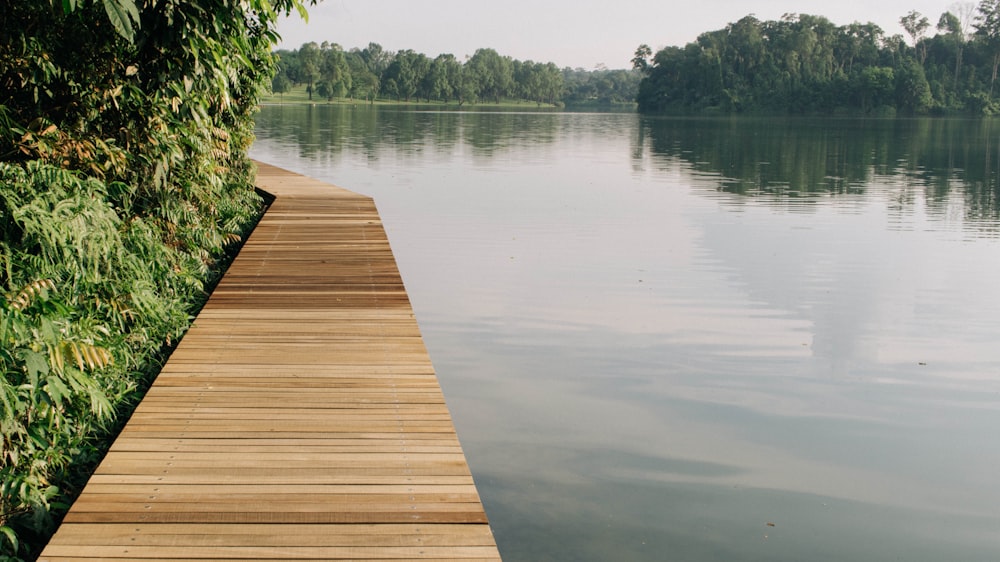 brown wooden dock on lake during daytime