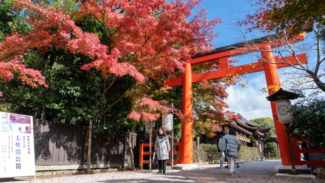 A torii gate framed by autumn maple leaves in Kyoto, Japan