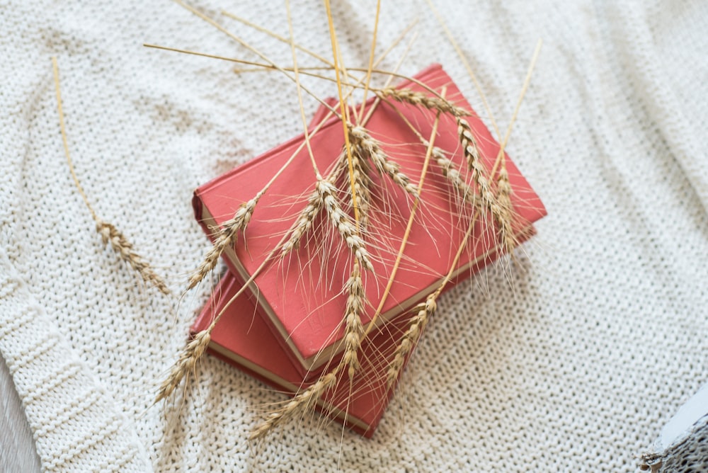 red and gold paper boat on white textile