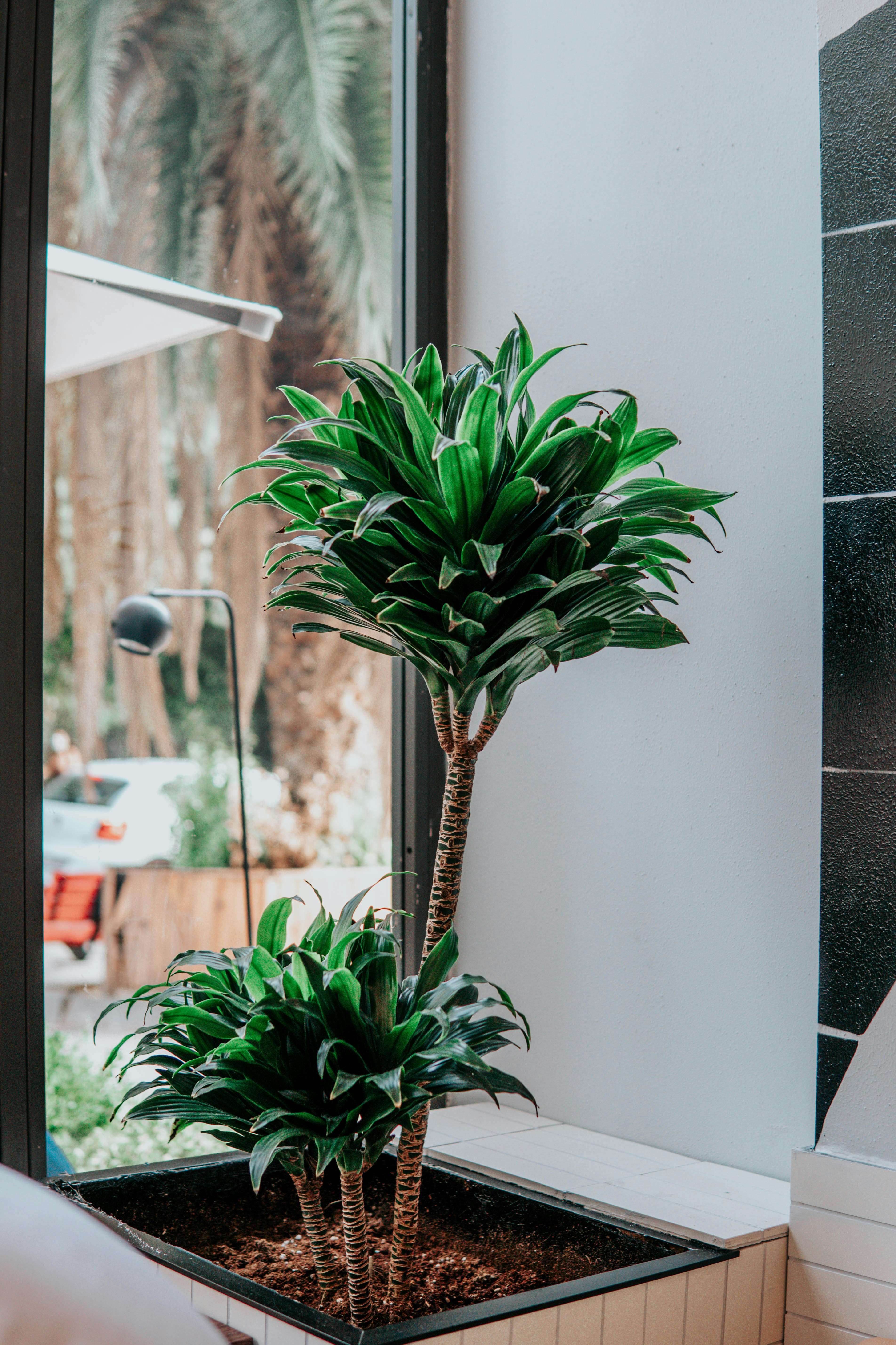 Photo by ceydaciftci