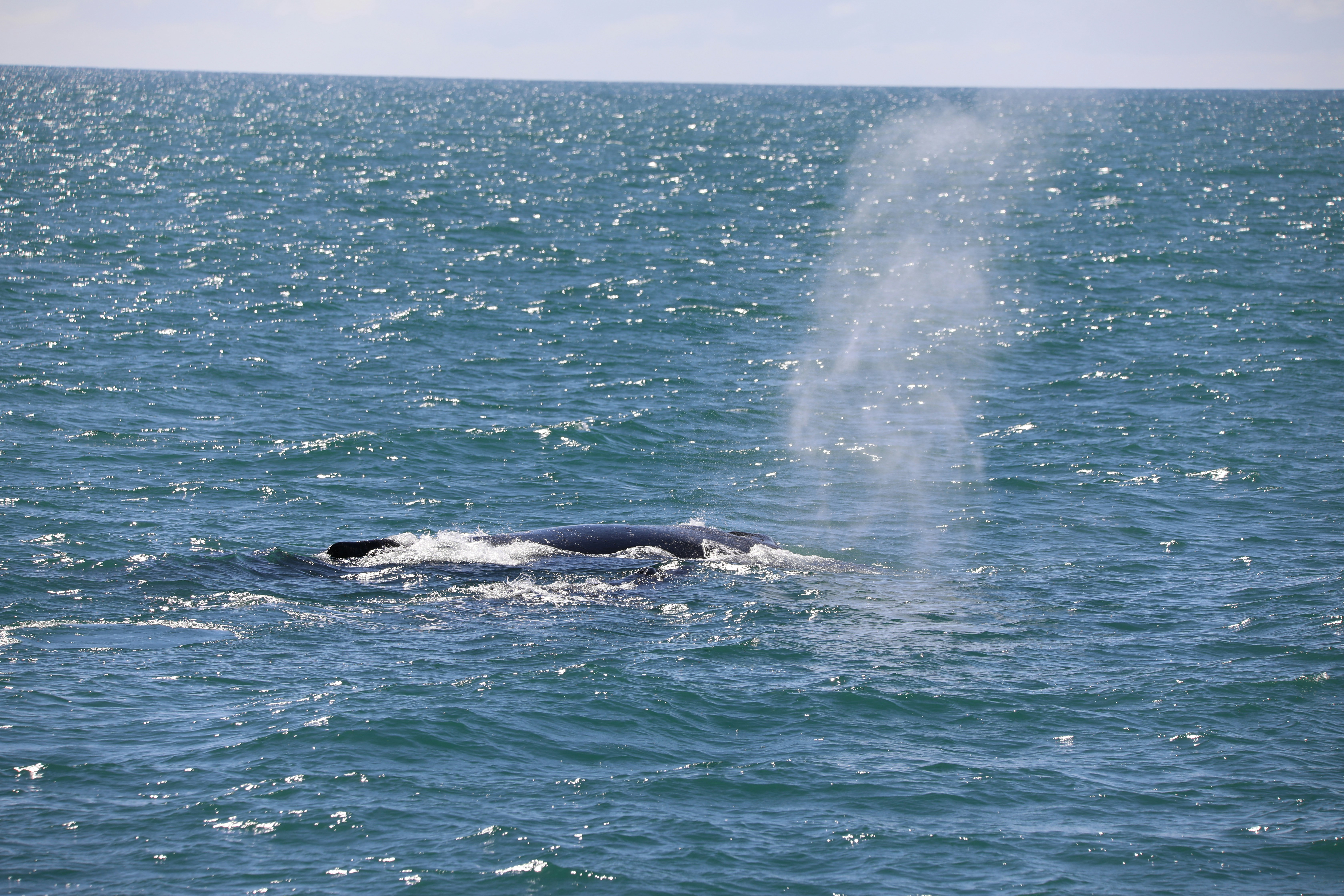 Photo by marcusdallcol