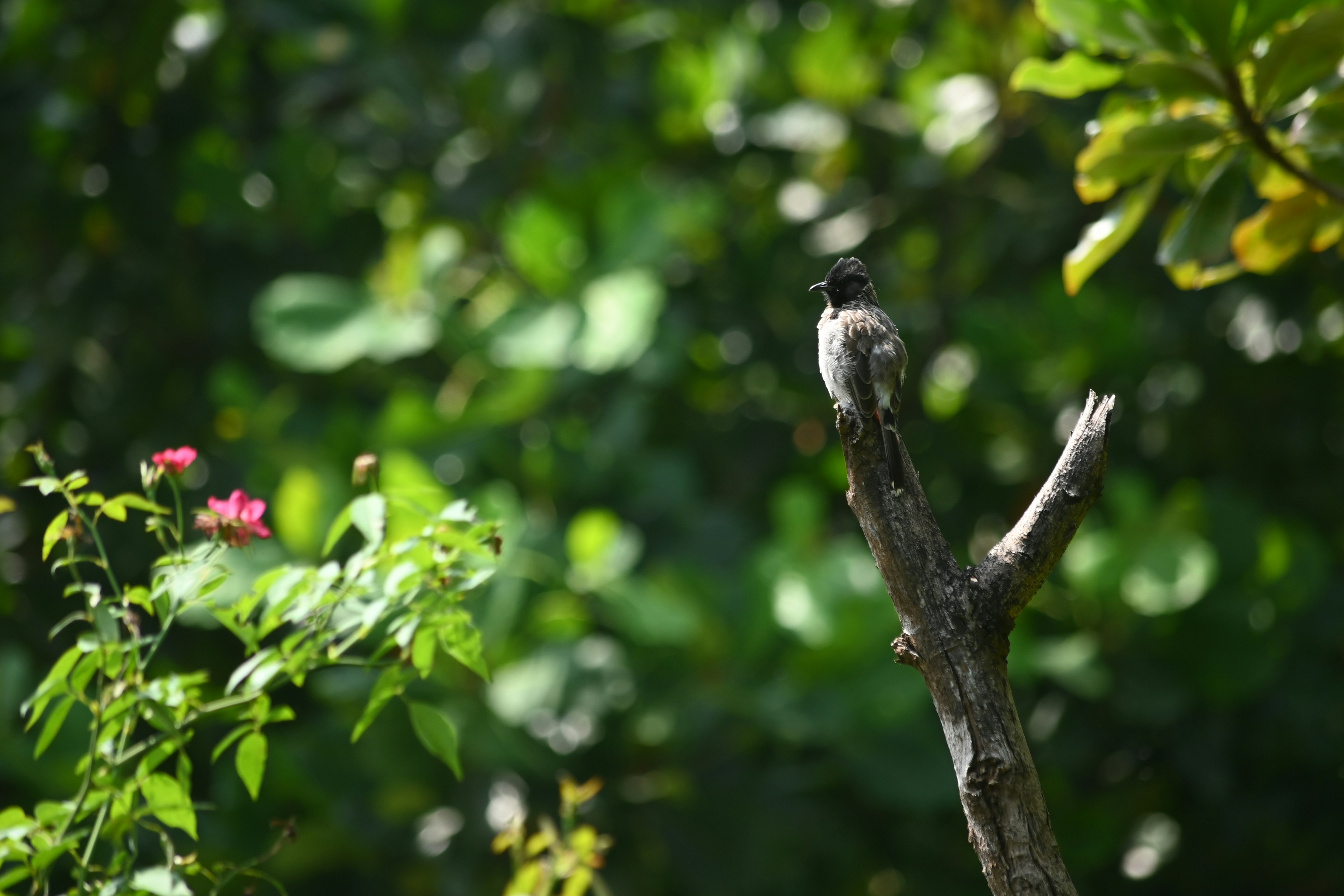 Photo by rrajputphotography