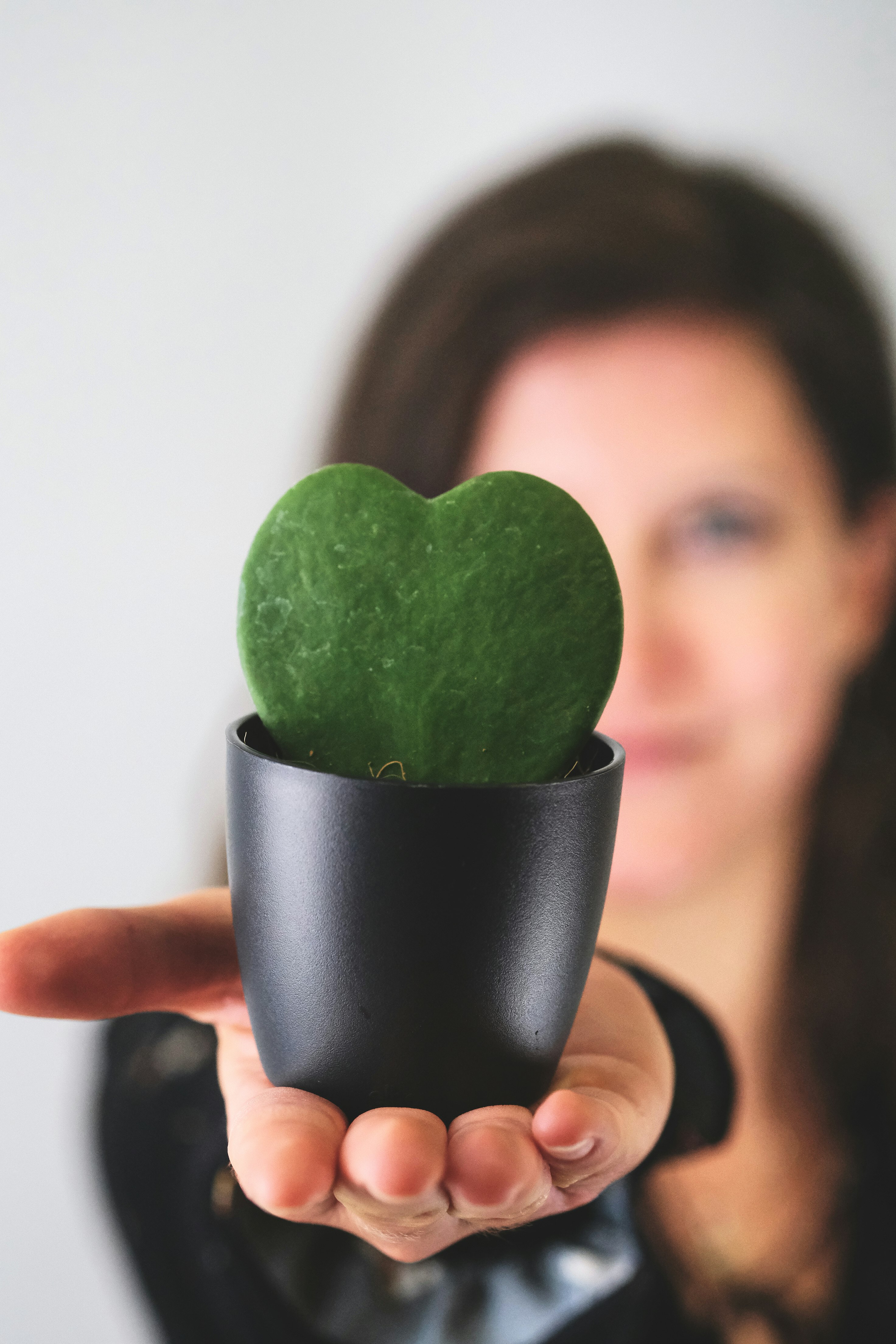 person holding green heart shaped fruit