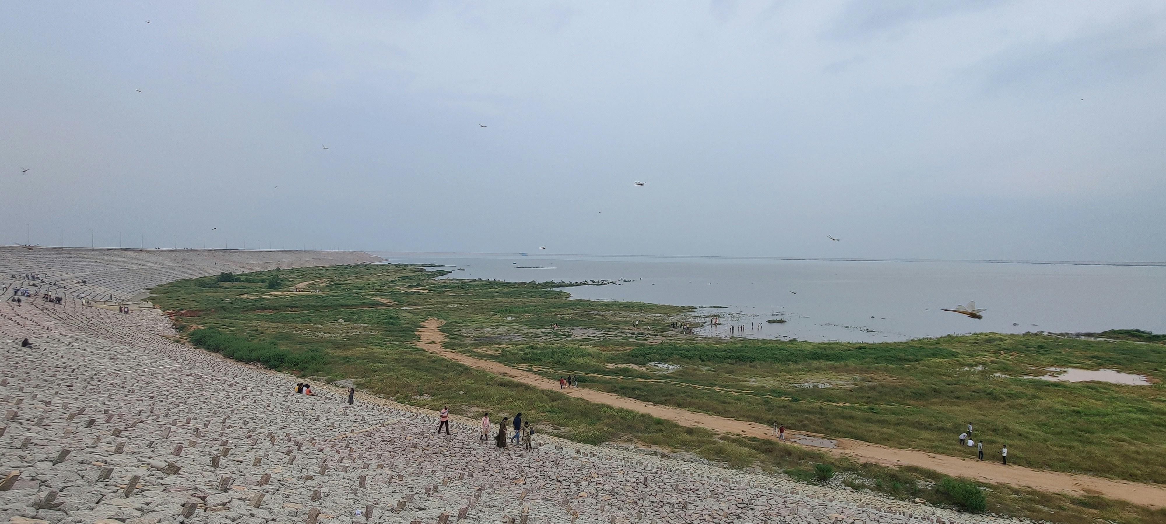 people walking on green grass field near body of water during daytime