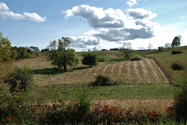 A serene Nigerian countryside with open green fields under a bright sky.