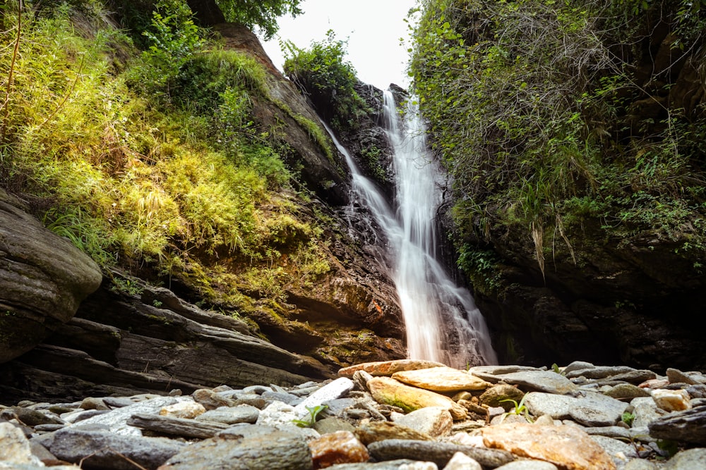 cascades au milieu d’arbres verts pendant la journée