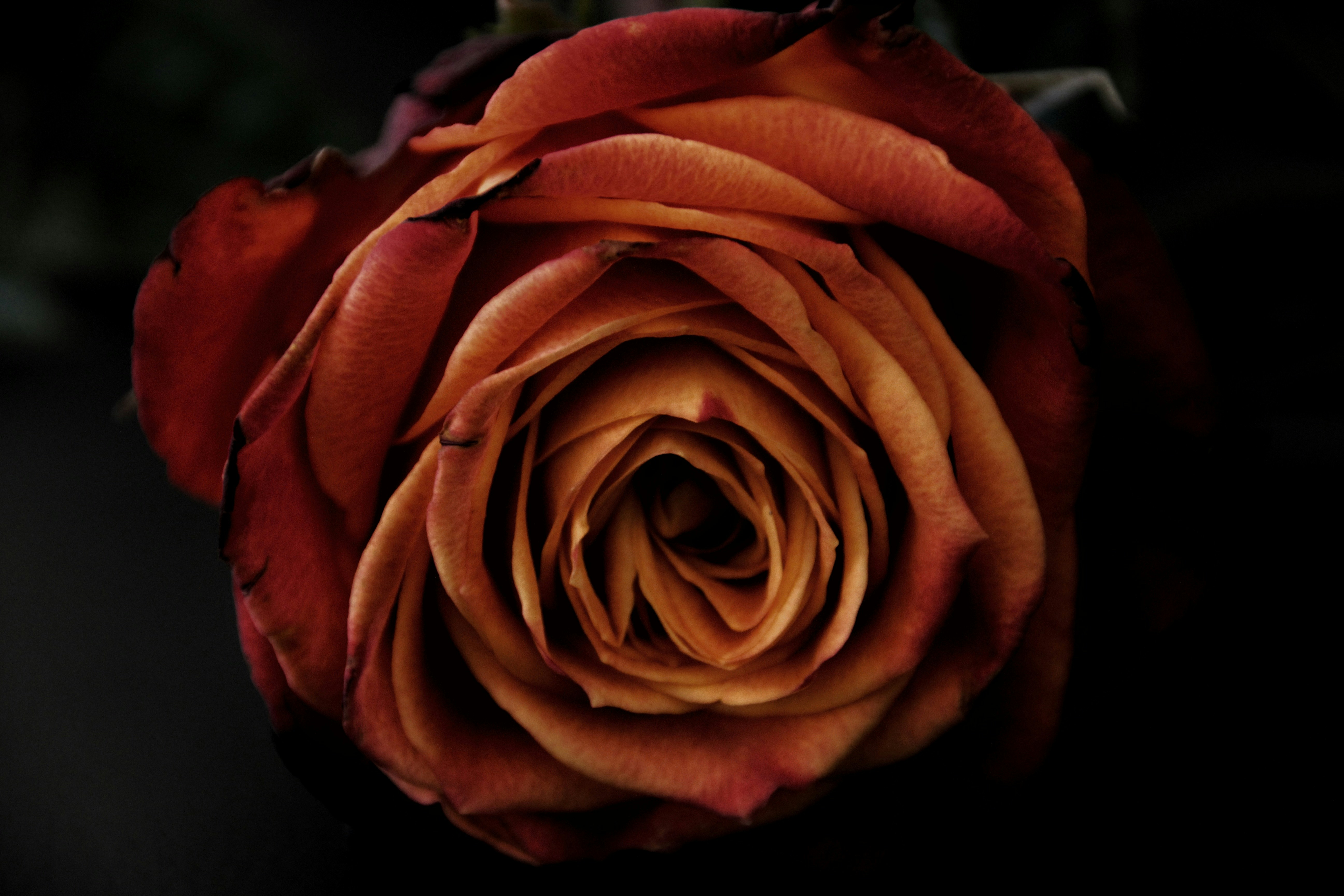 Photo by michealcopley03