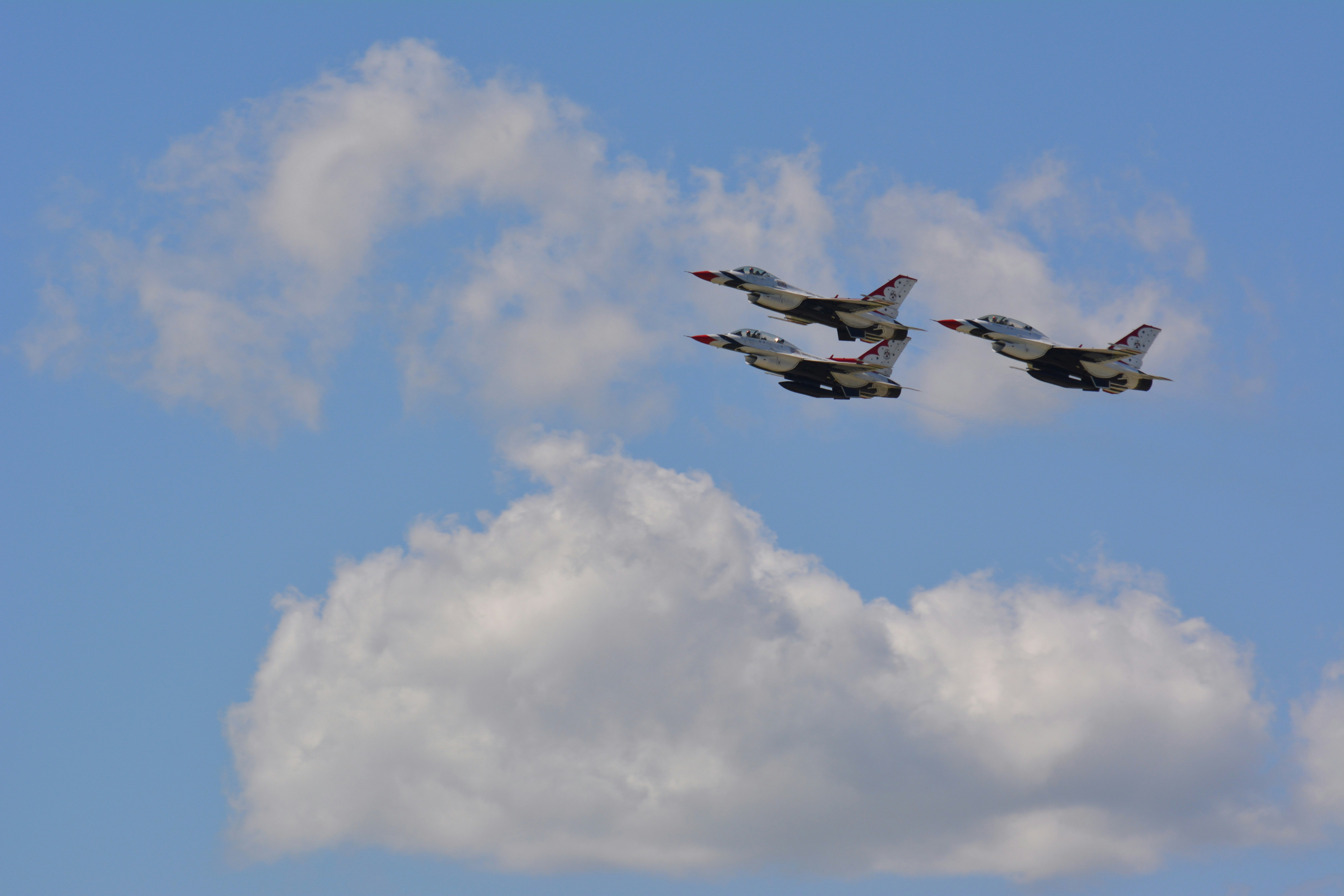three white birds flying under blue sky during daytime