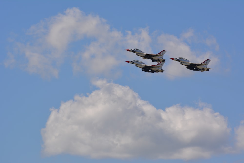 three white birds flying under blue sky during daytime