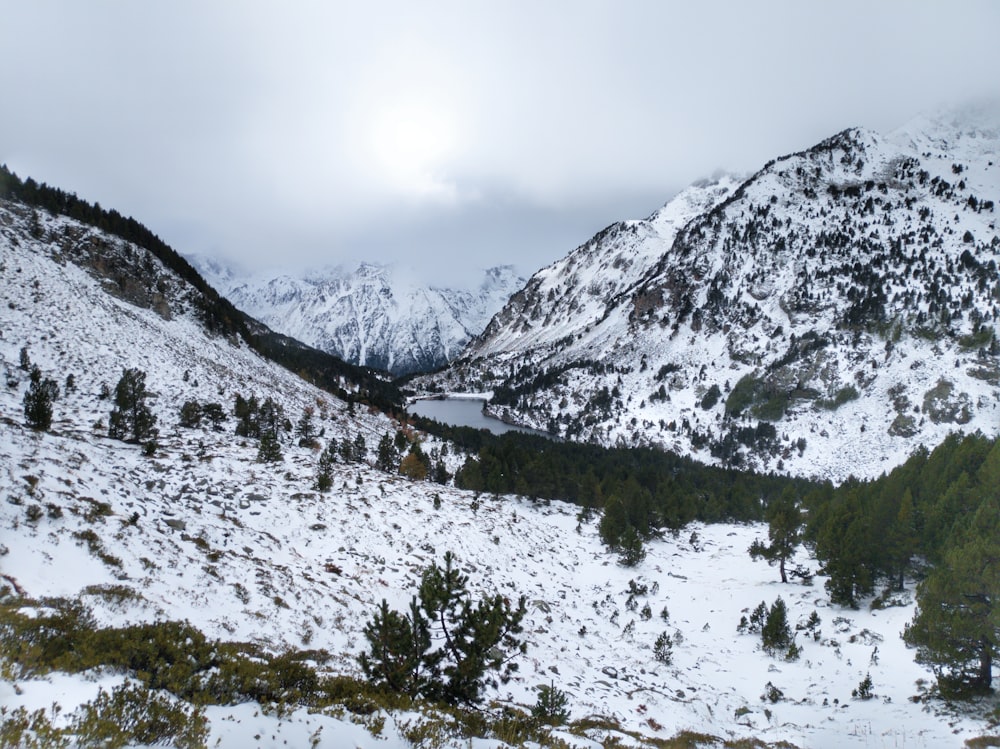 green trees on snow covered mountain during daytime