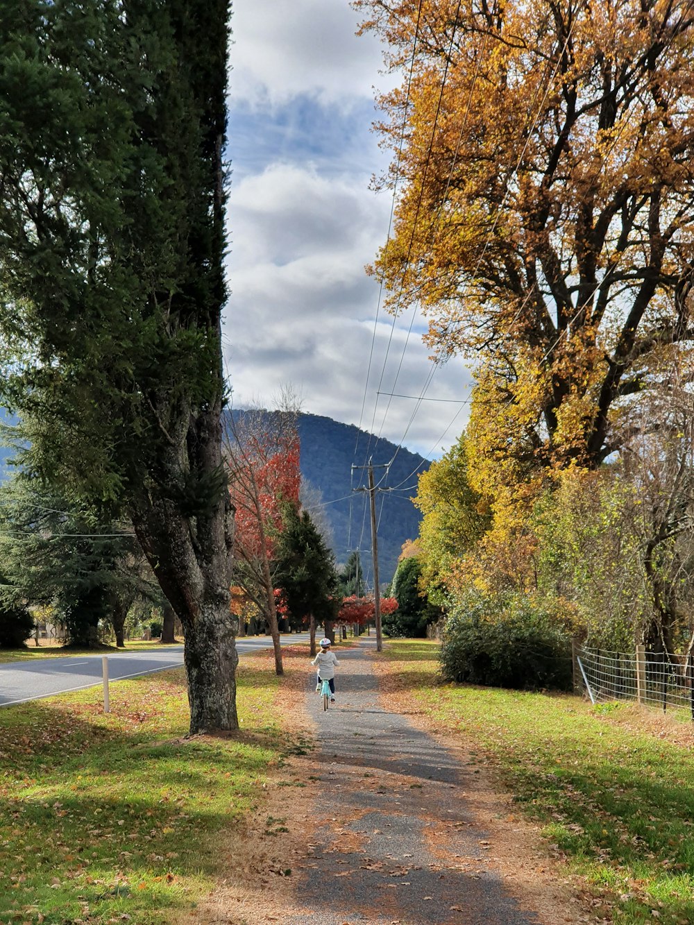 people walking on park during daytime