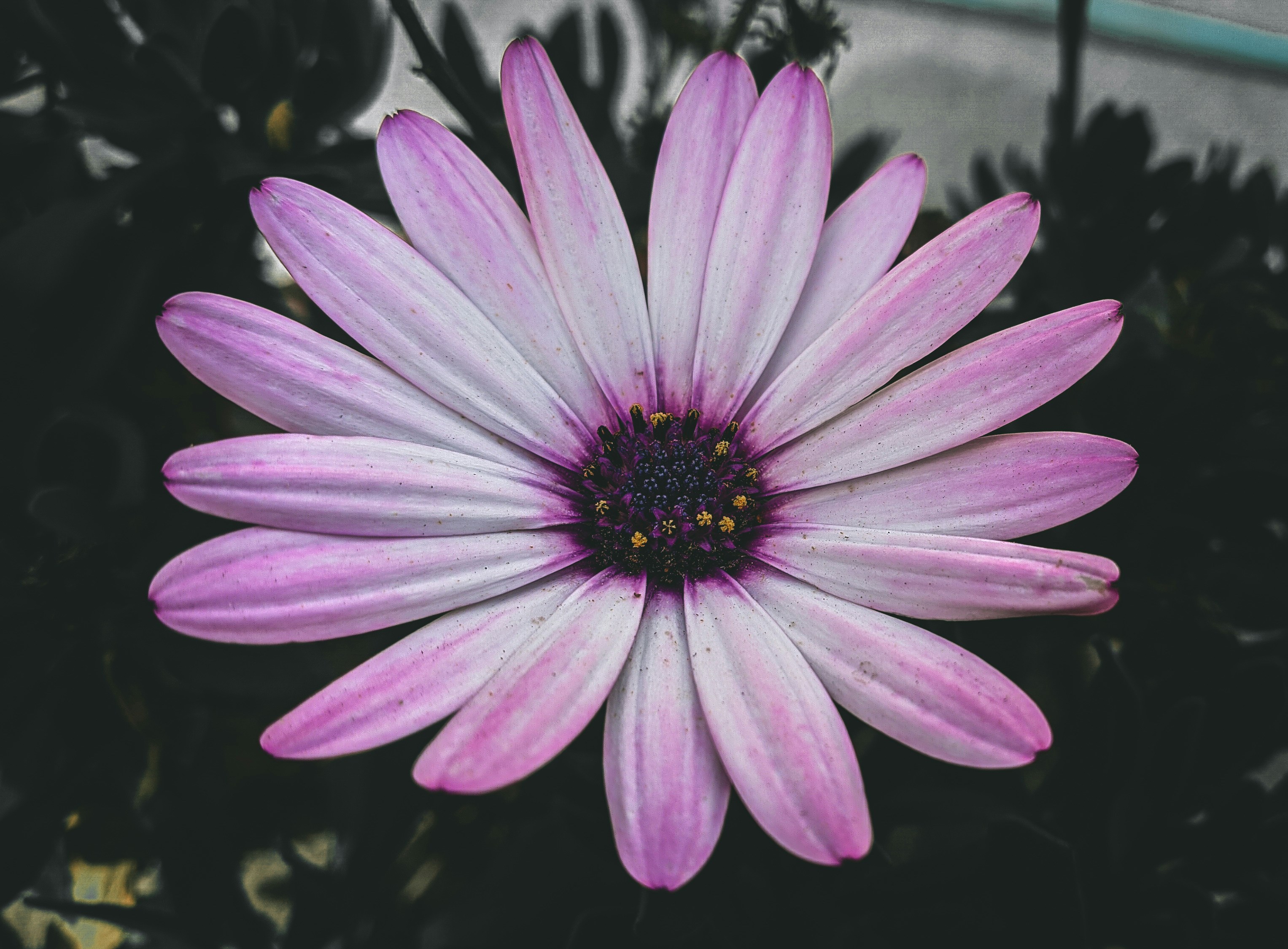 Photo by themirsuhail