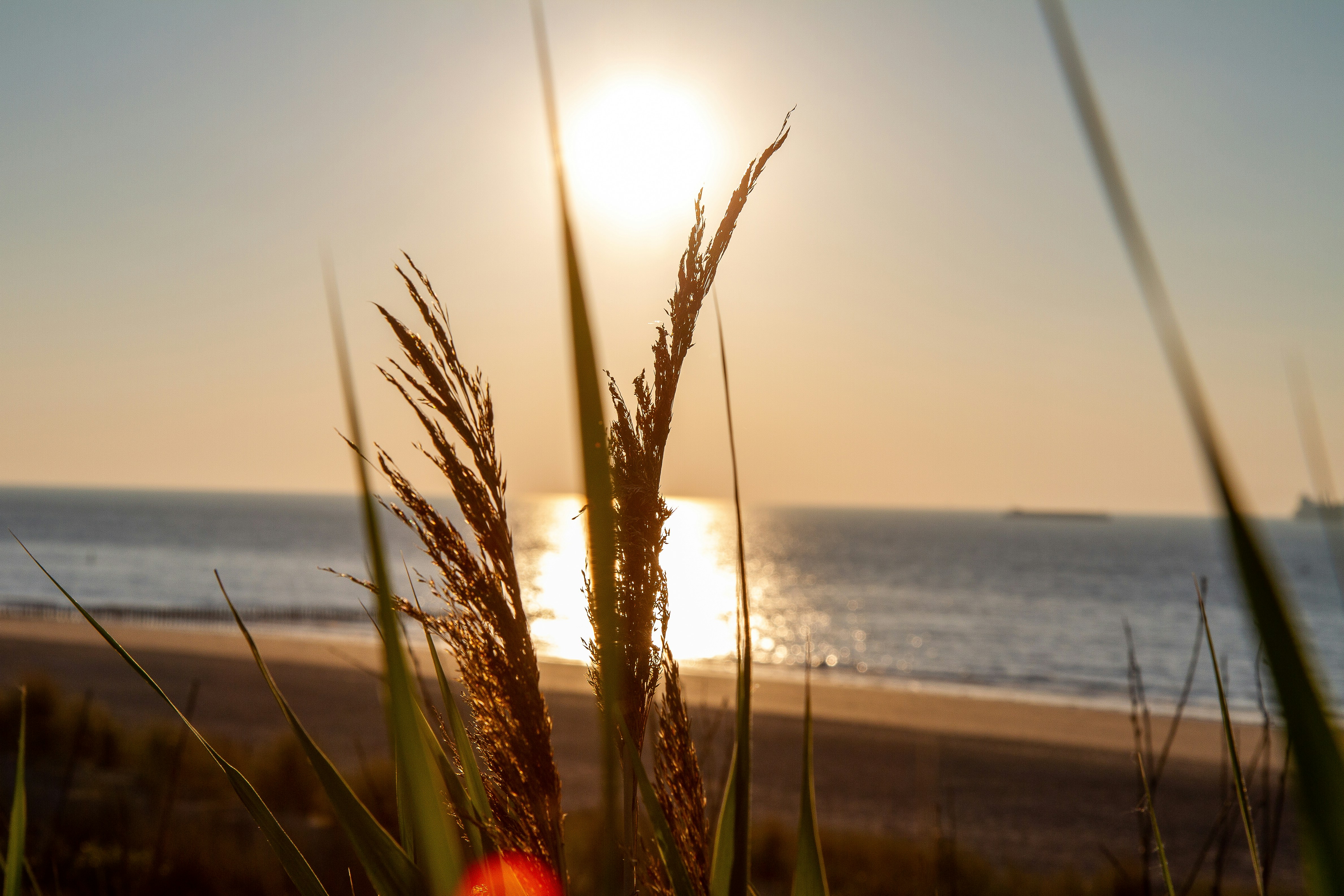 Photo by tomashertogh