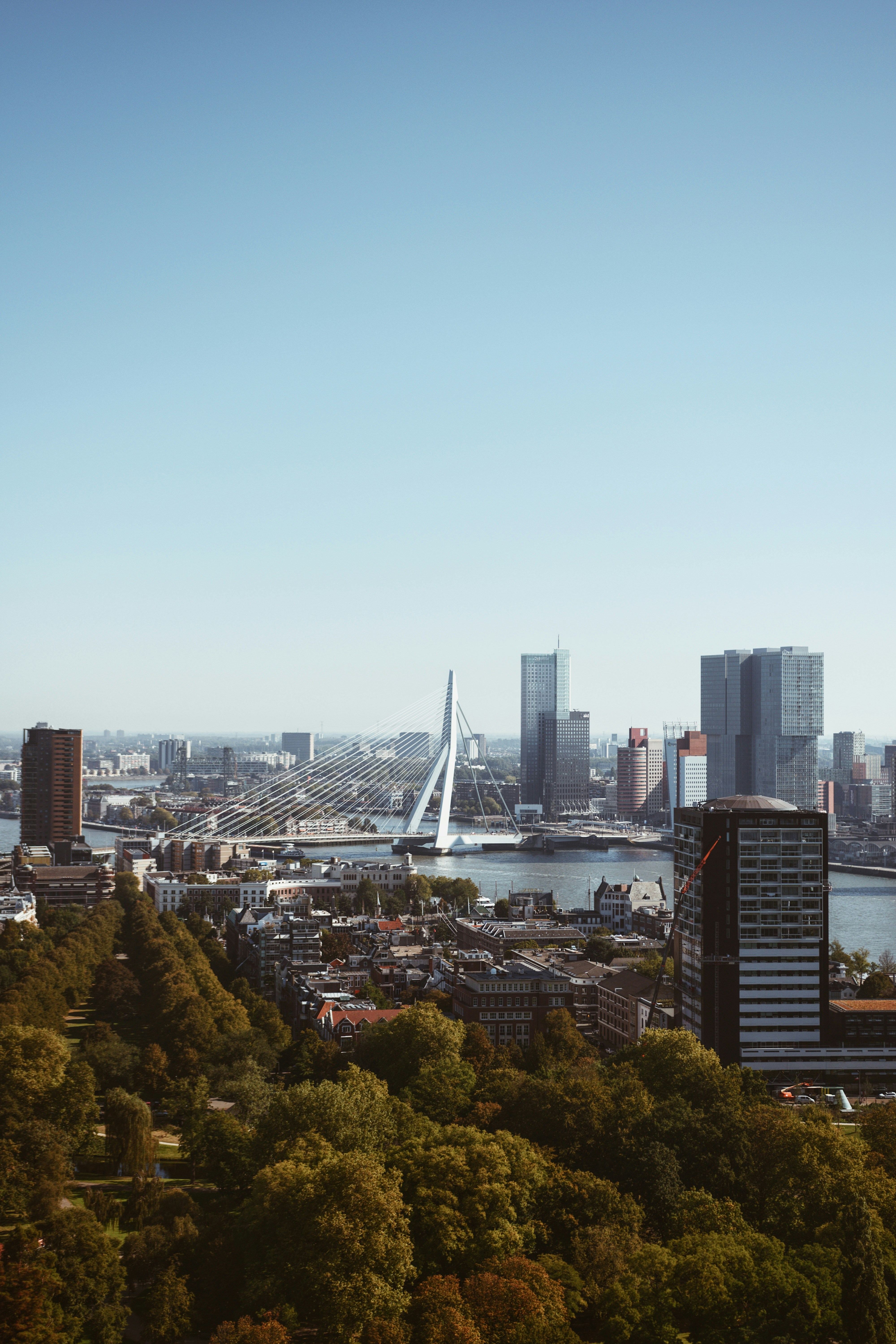 Rotterdam Reiseführer