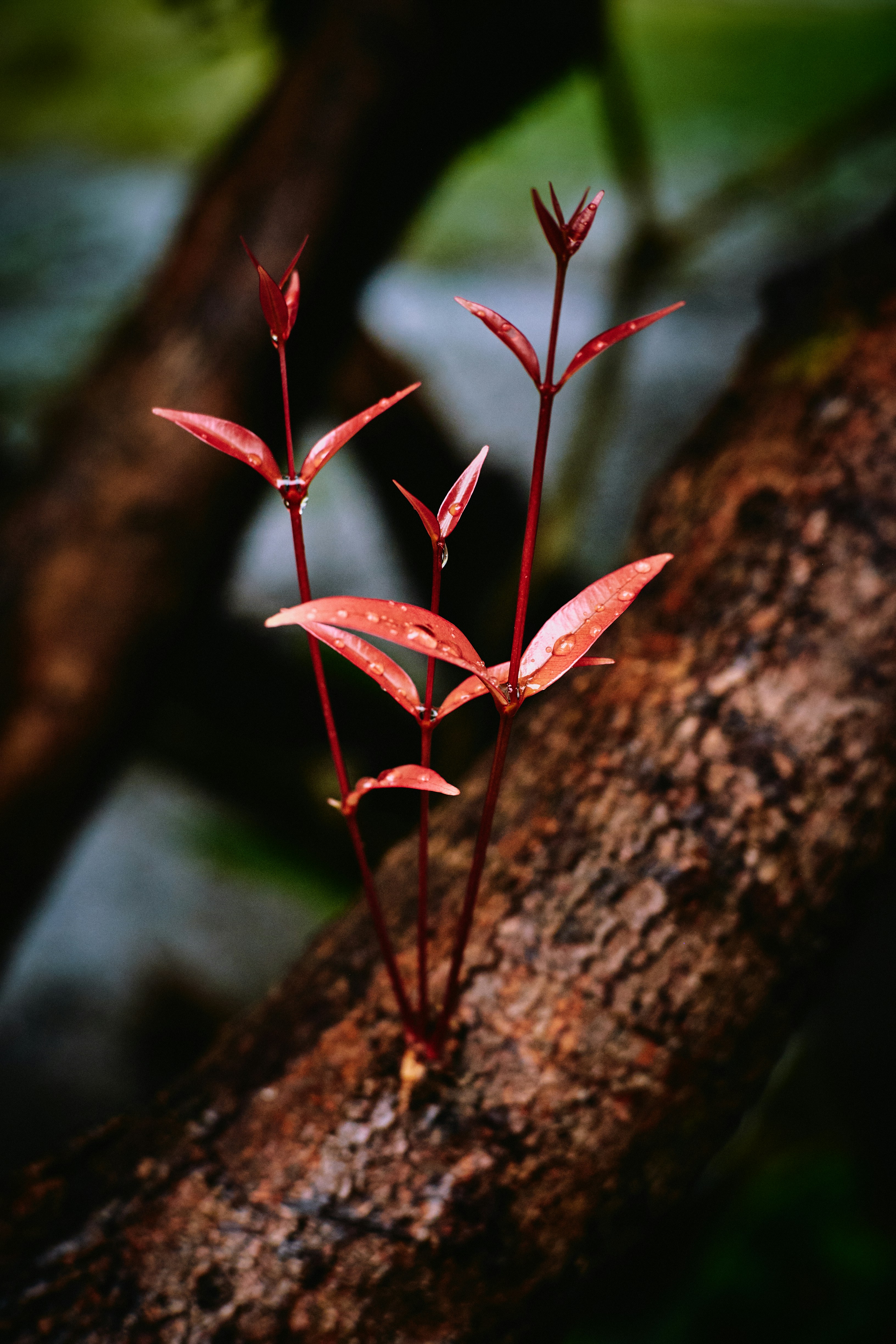 Photo by setsj