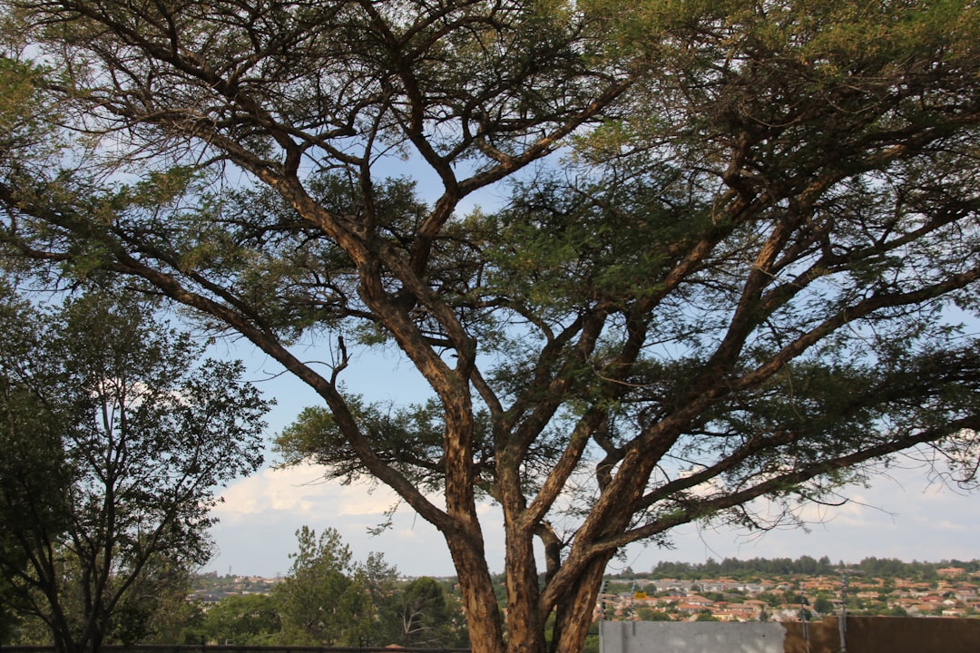 Nature reserve photo spot Johannesburg South Africa