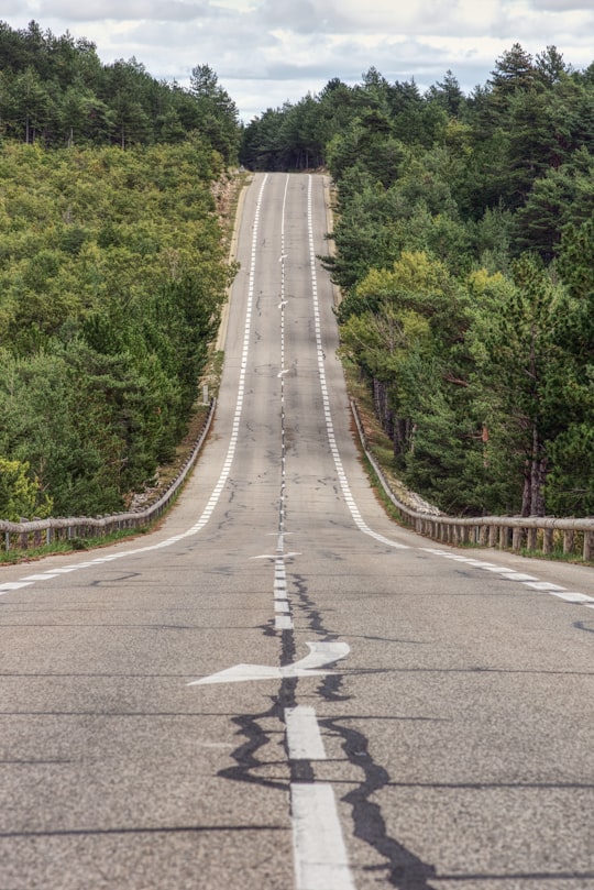 gray concrete road between green trees during daytime in Sault France